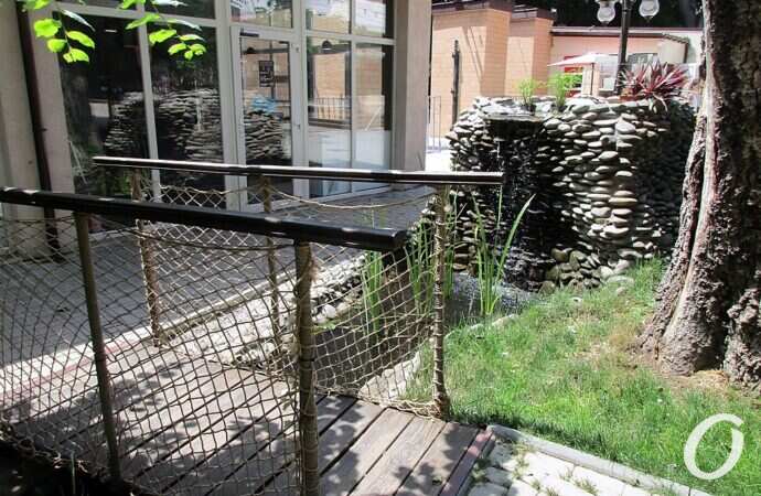 июнь в Одессе, палисадник