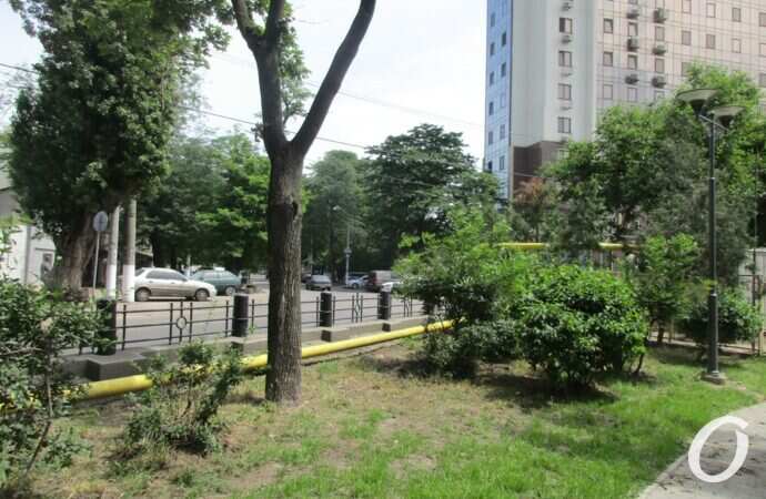 Алексеевский сквер10