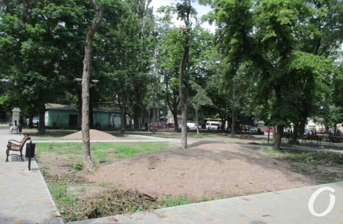 Алексеевский сквер21