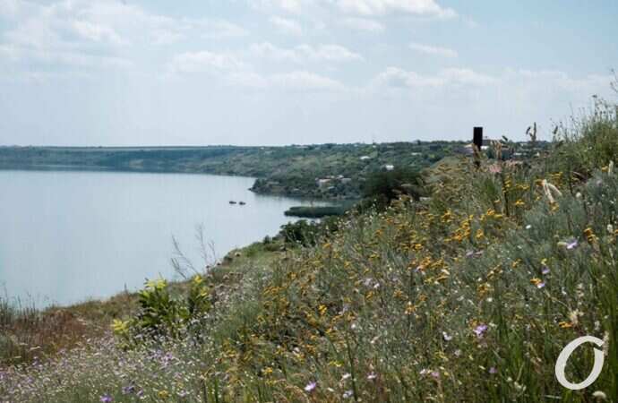 Хаджибейский лиман14