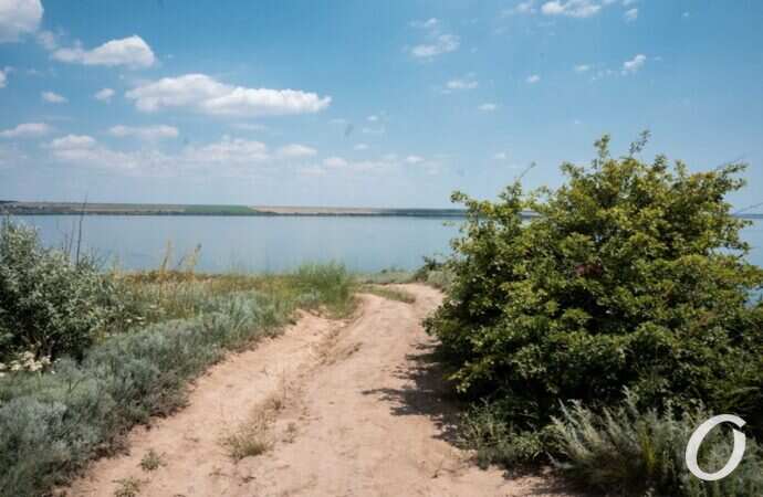 Хаджибейский лиман16