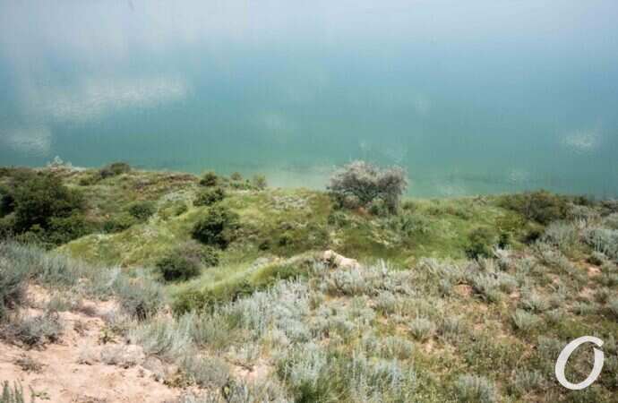 Хаджибейский лиман17