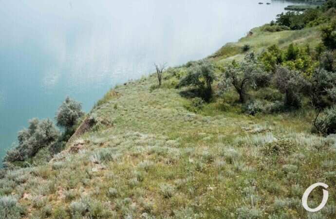 Хаджибейский лиман18