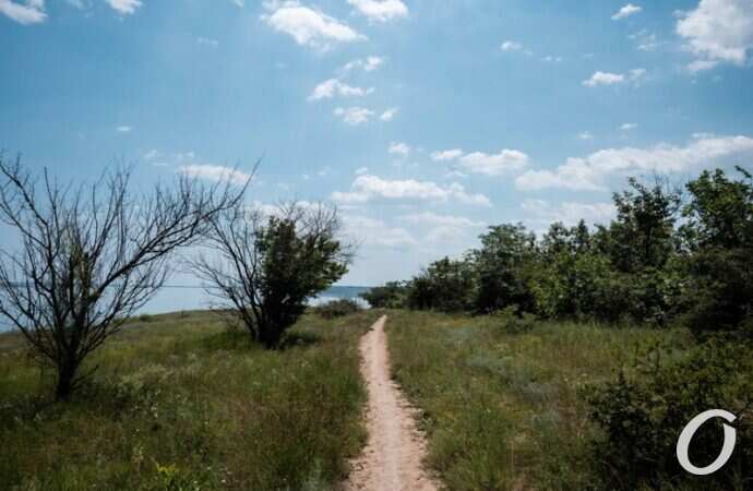 Хаджибейский лиман2