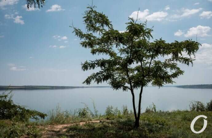 Хаджибейский лиман23