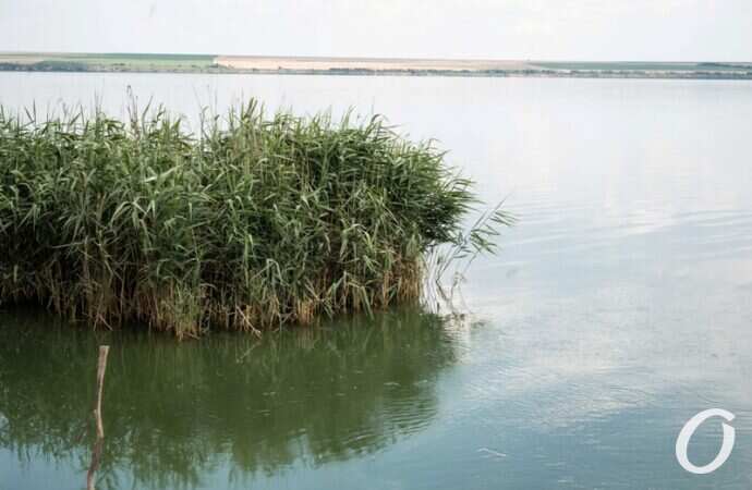 Хаджибейский лиман25