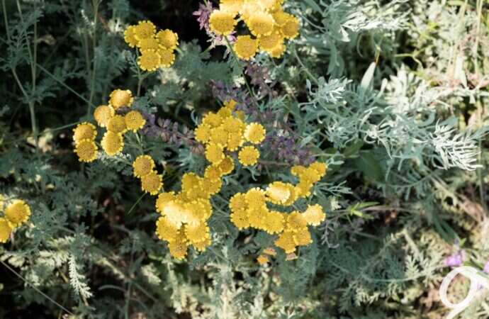 Хаджибейский лиман8