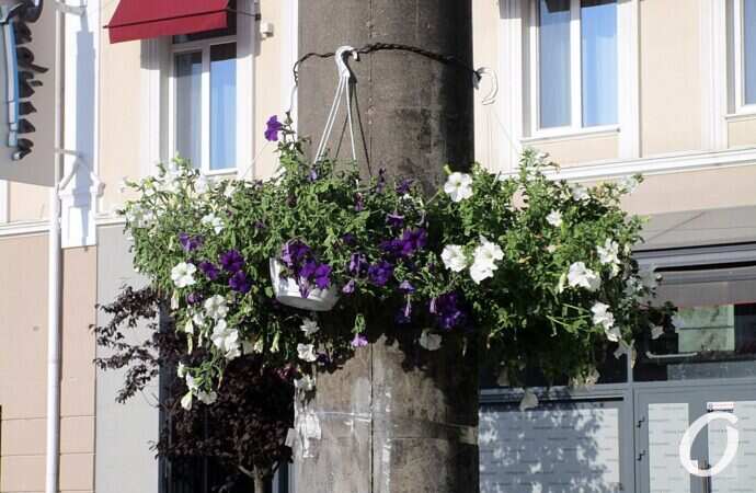 Дерибасовская, 30 июня 2021 г.11