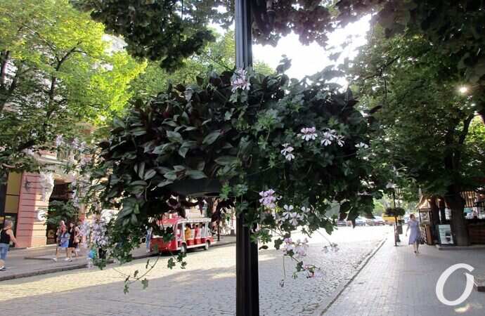 Дерибасовская, 30 июня 2021 г.36