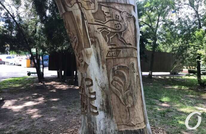 В Одессе на Ланжероне «выросло» арт-дерево (фото)