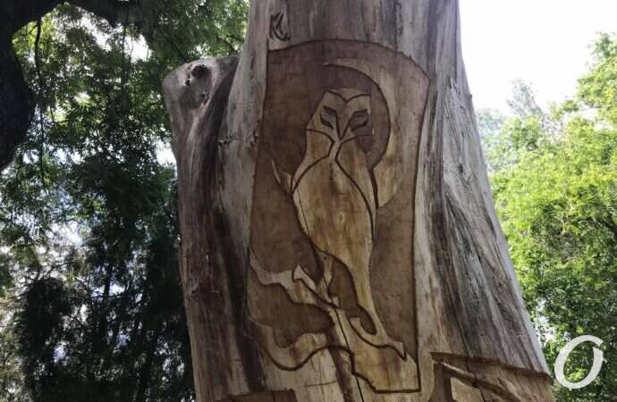 На одесском пляже обрубок ствола дерева с помощью резьбы превратили в сказочный арт-объект.