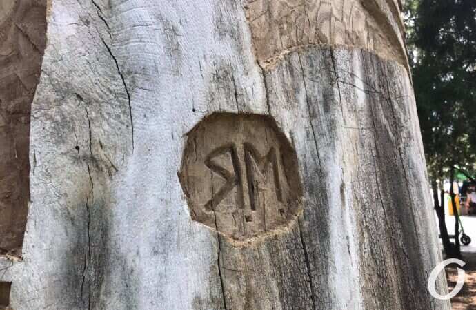 На одесском пляже обрубок ствола дерева с помощью резьбы превратили в сказочный арт-объект.