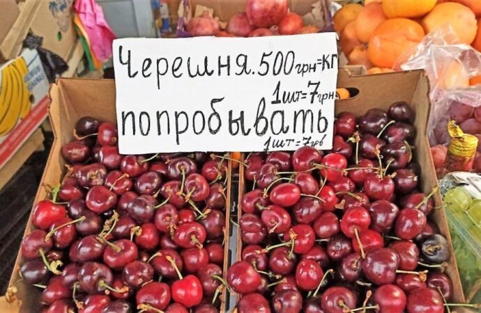 Черешня в Одессе «бриллиантовая», потому что потерян урожай