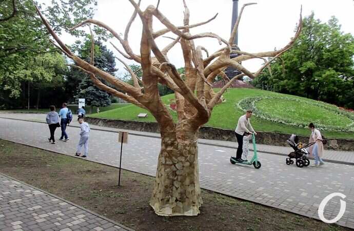 экофестиваль