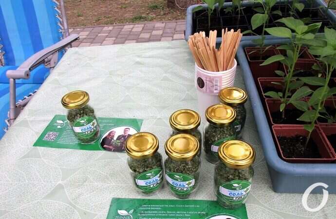 экофестиваль 6 июня