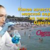 Качество морской воды на одесских пляжах: где купаться опасно?