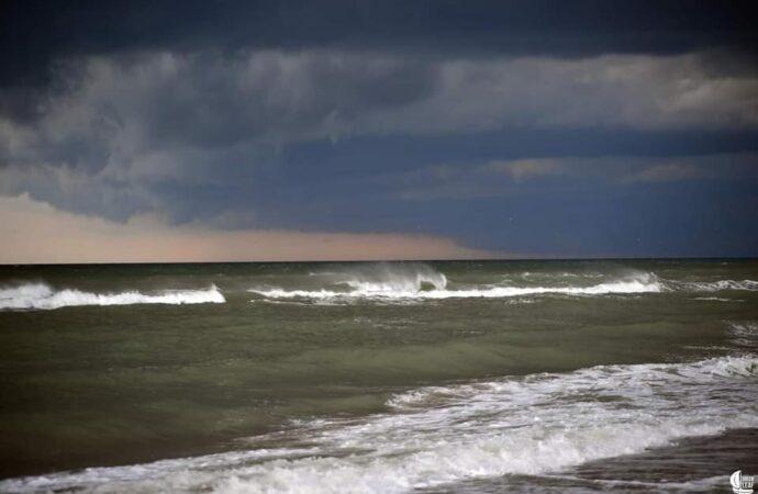 Одесское побережье накрыл «оливковый прилив» — море зацвело