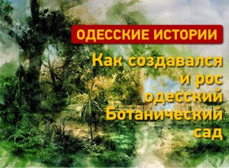 Ботанический сад: зеленый оазис Одессы