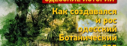 Ботанический сад: зеленый оазис Одессы