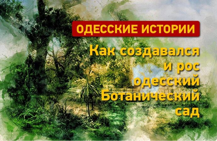 Ботанический сад: зеленый оазис Одессы