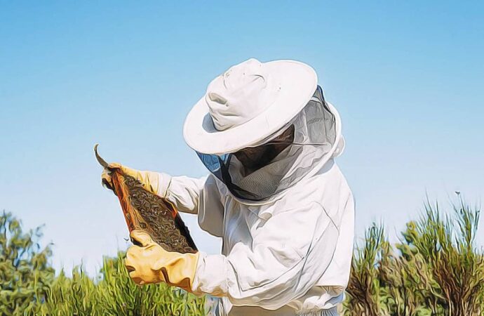 В Одесской области создадут сообщество пчеловодов