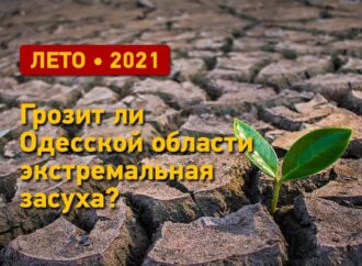 Погода летом 2021: грозит ли Одесской области экстремальная засуха?