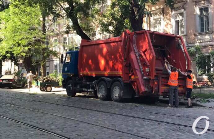 пилят деревья3