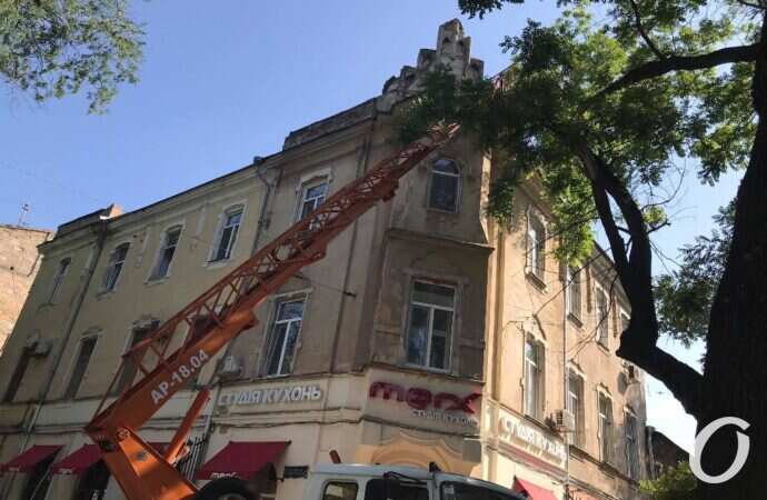 пилят деревья5