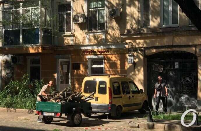 пилят деревья8