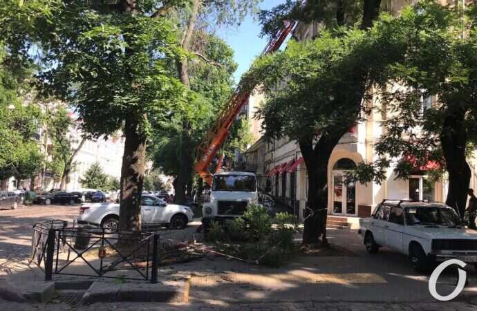 пилят деревья9