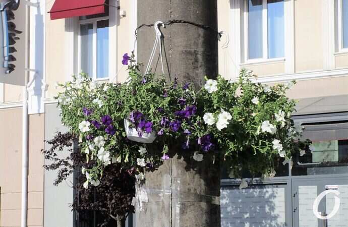 задник Одесской ярмарки10