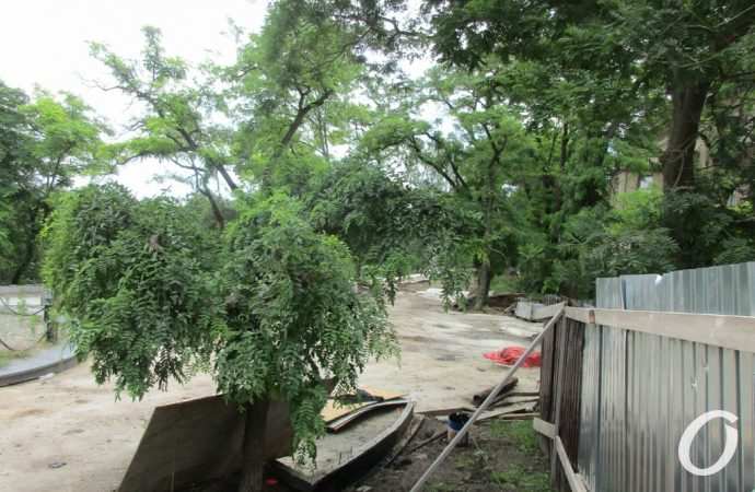 бульвар Жванецкого6