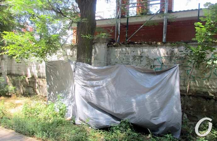 парк Шевченко2