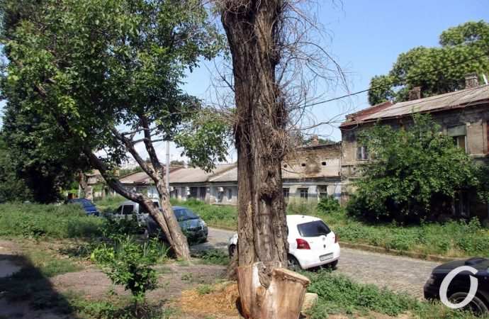 Занделовский переулок11