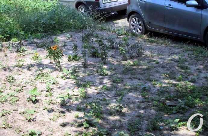 Занделовский переулок13