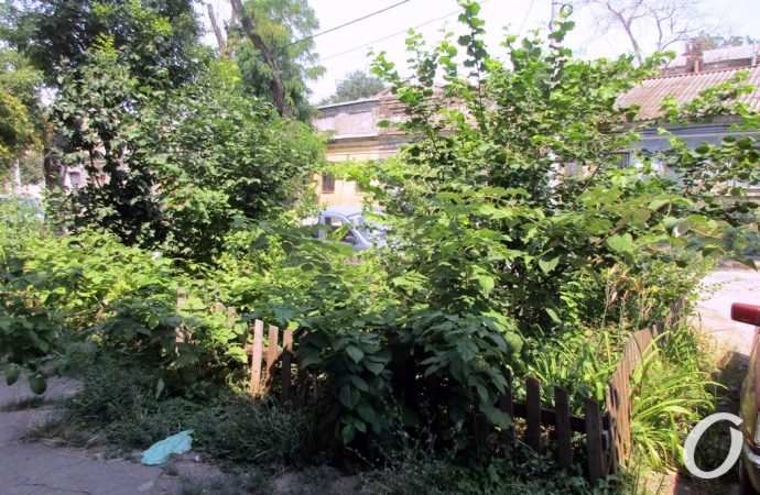 Занделовский переулок20