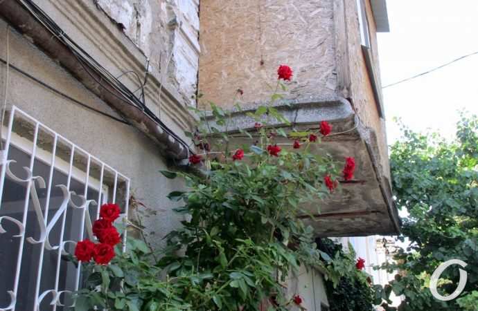 Занделовский переулок24