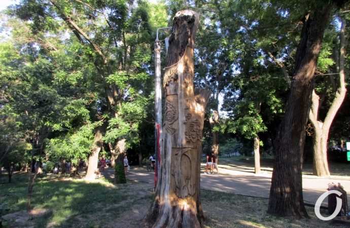 Деревянный креатив, по дороге на Ланжерон7