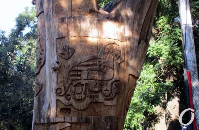 Деревянный креатив, по дороге на Ланжерон4