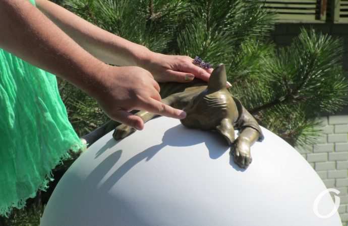 Кот Изя Ланжерон10