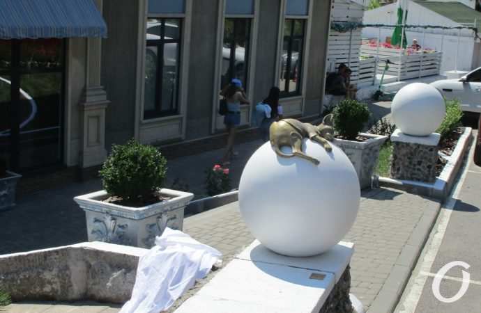 Кот Изя Ланжерон13