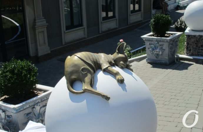 Кот Изя Ланжерон15