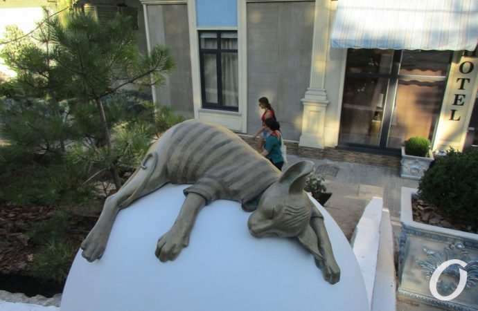 Кот Изя Ланжерон2