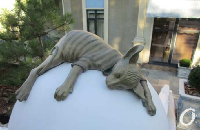 Кот Изя Ланжерон3