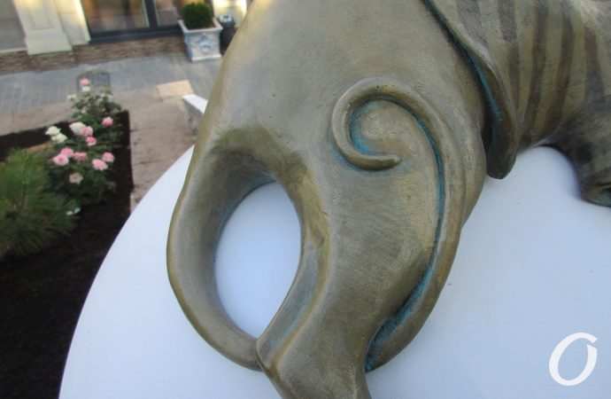 Кот Изя Ланжерон6