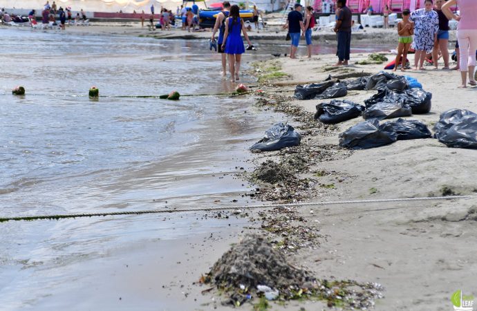 грязный пляж в Аркадии