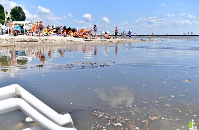 мусор на пляже в Аркадии