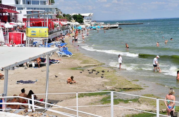 грязный пляж в Аркадии