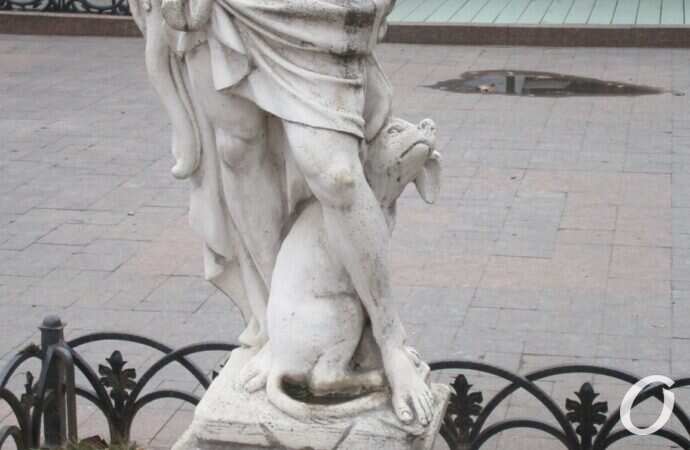 собаки в Одессе12