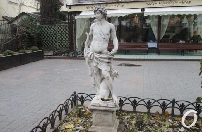 собаки в Одессе13